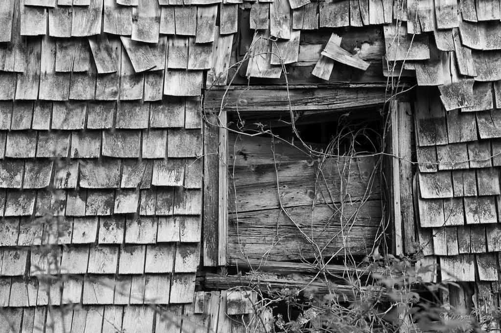 DSC_2963.jpg