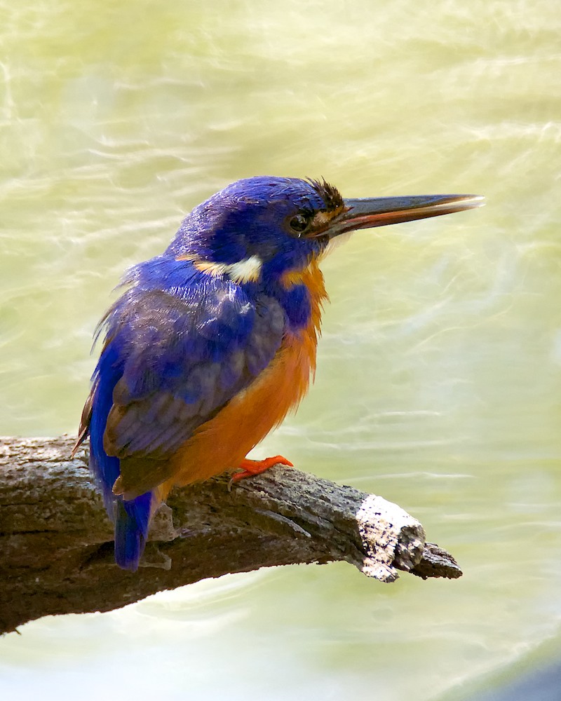 DSC_2967.jpg