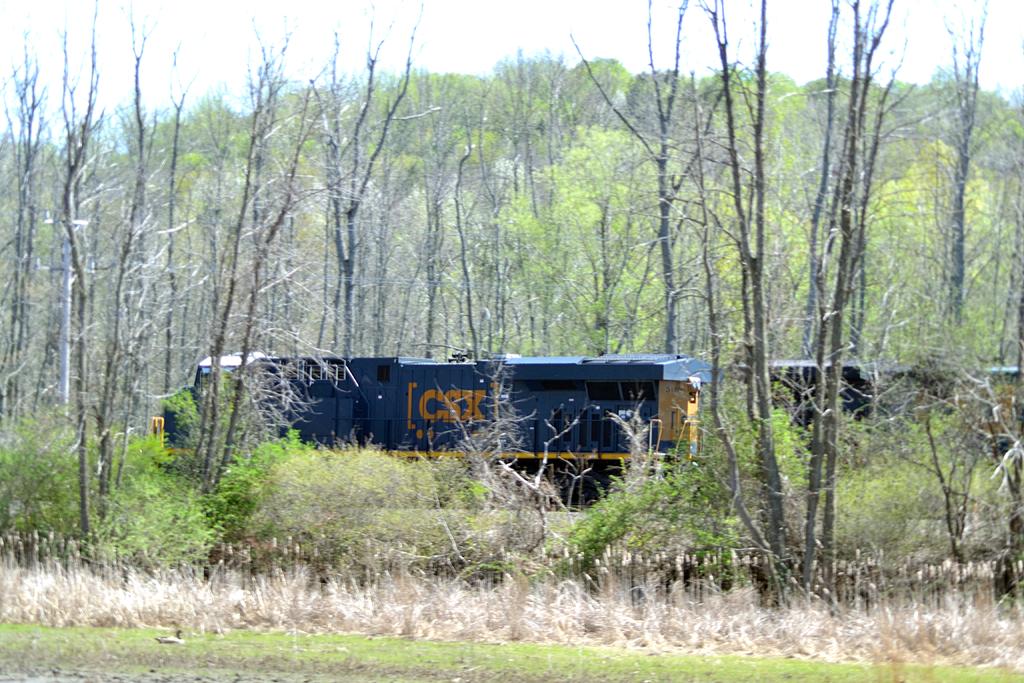 DSC_2972.jpg