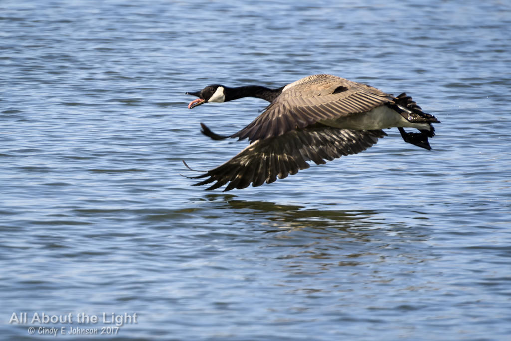DSC_2972 lo res.jpg