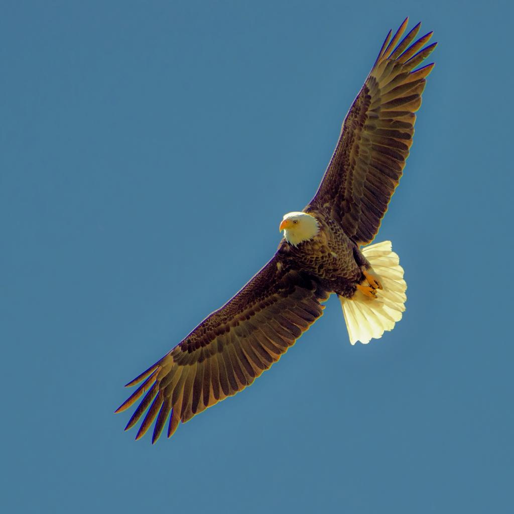 DSC_2975-2.jpg