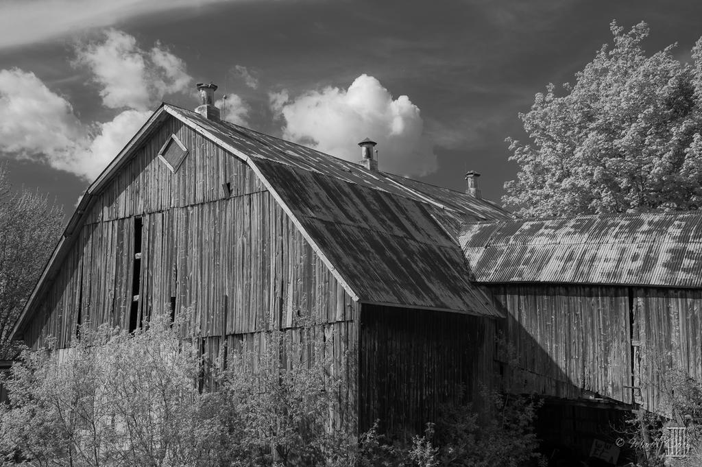 DSC_2975.jpg