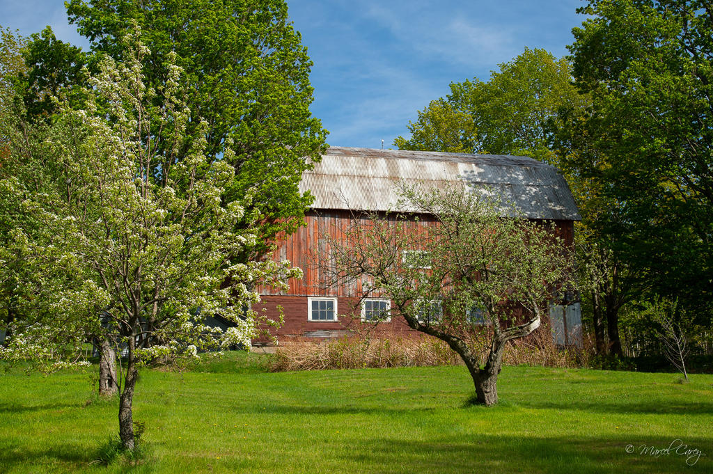 DSC_2977.jpg