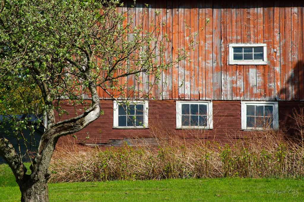 DSC_2978.jpg