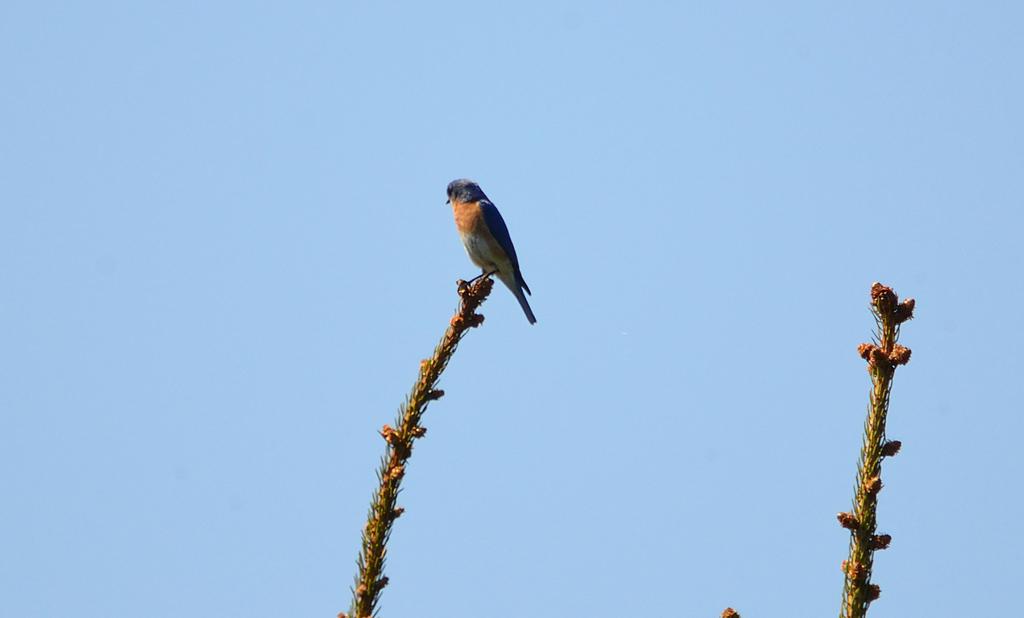 DSC_2983.jpg