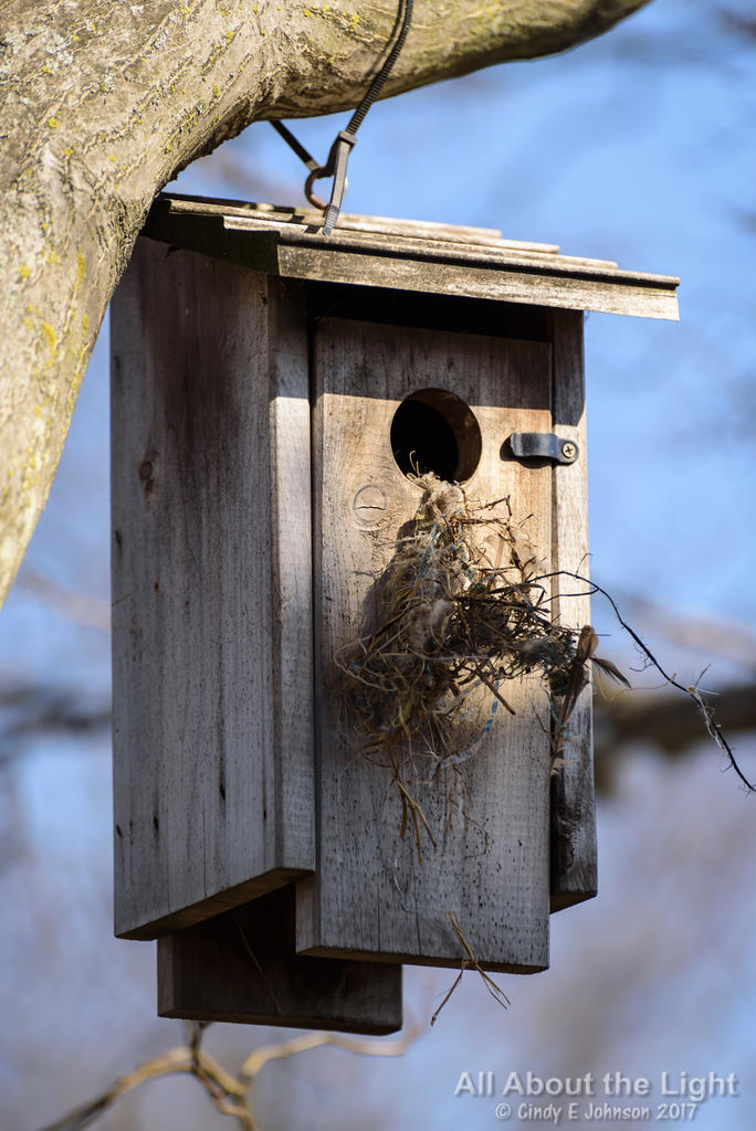 DSC_2983 lo res.jpg