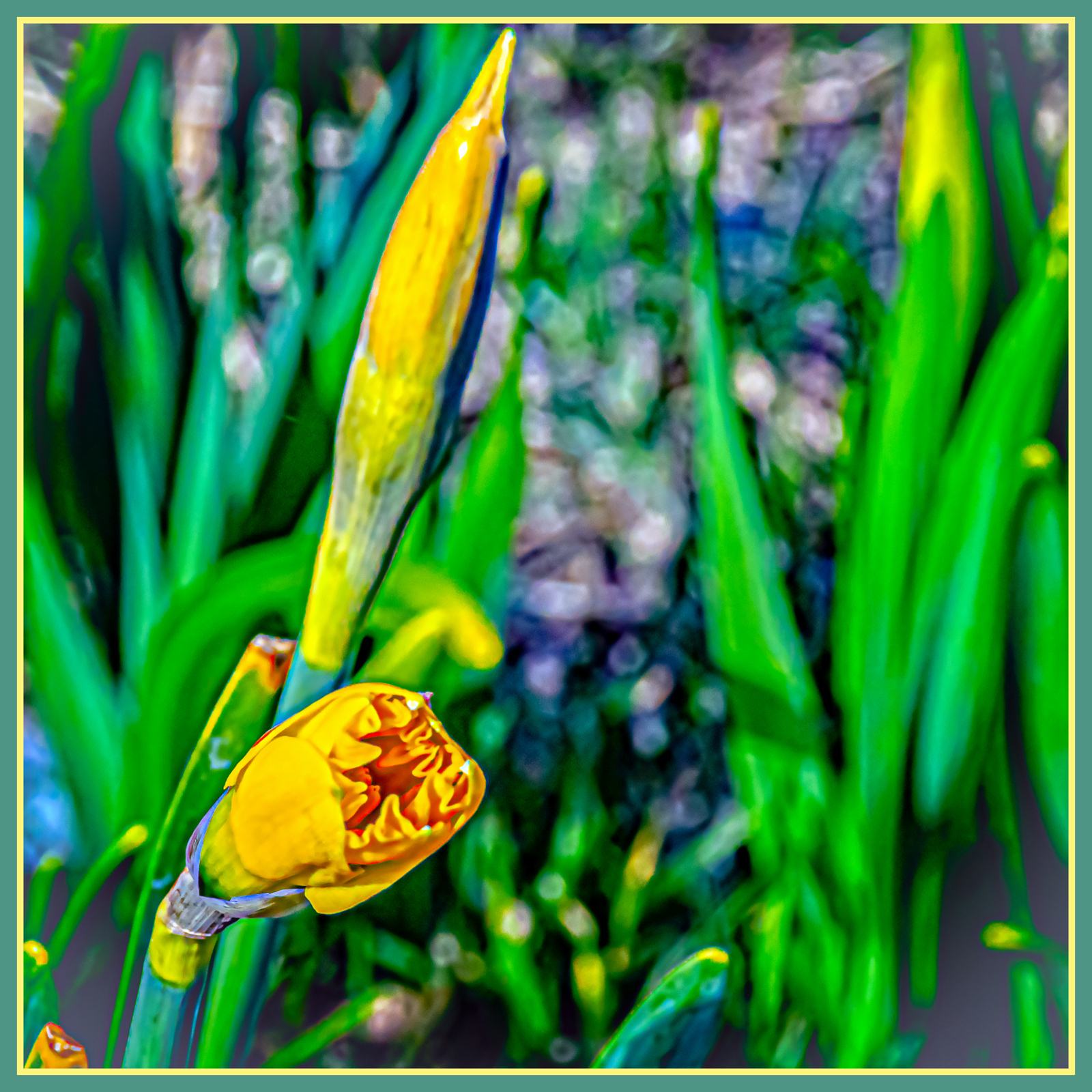 DSC_2985-Edit-001.JPG