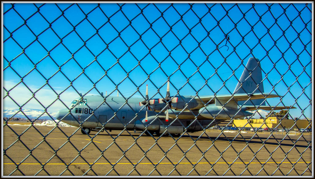 DSC_2986.jpg