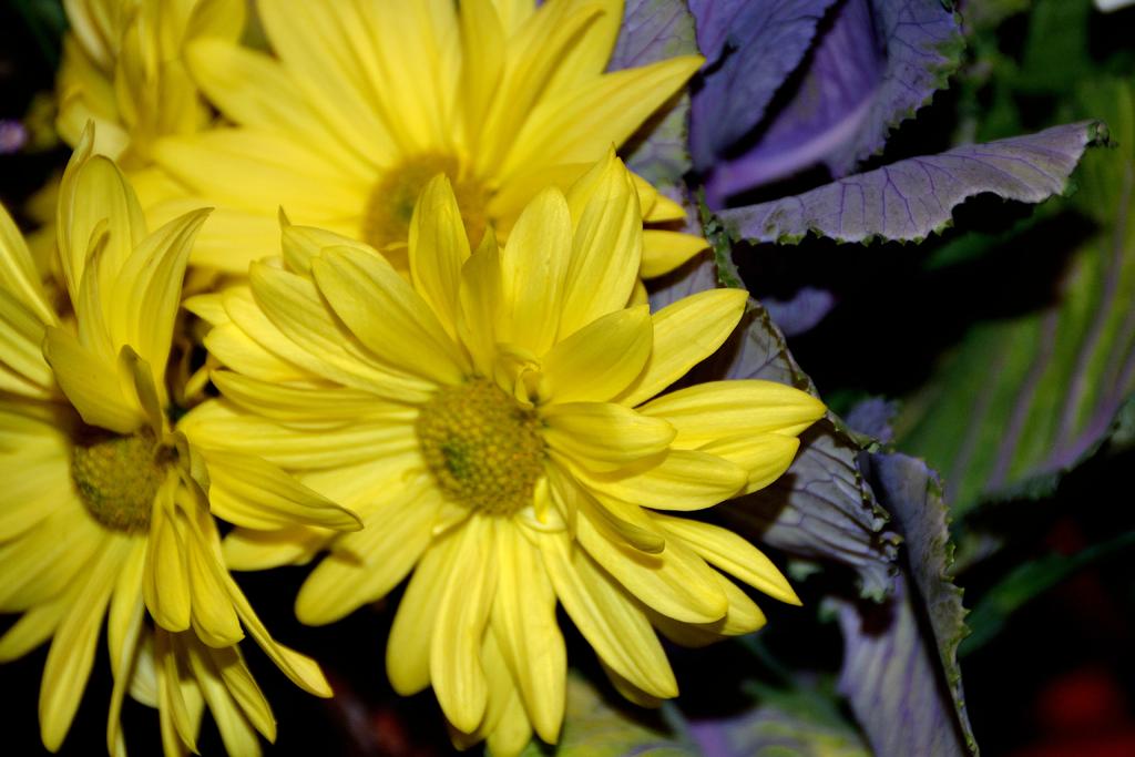 DSC_2986.jpg