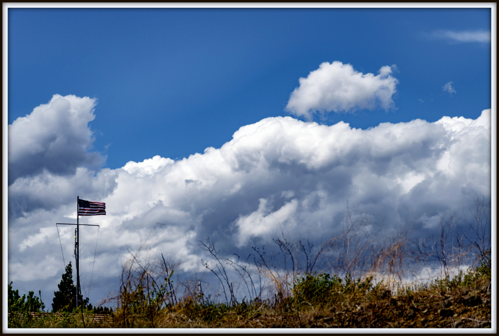 DSC_2987.jpg