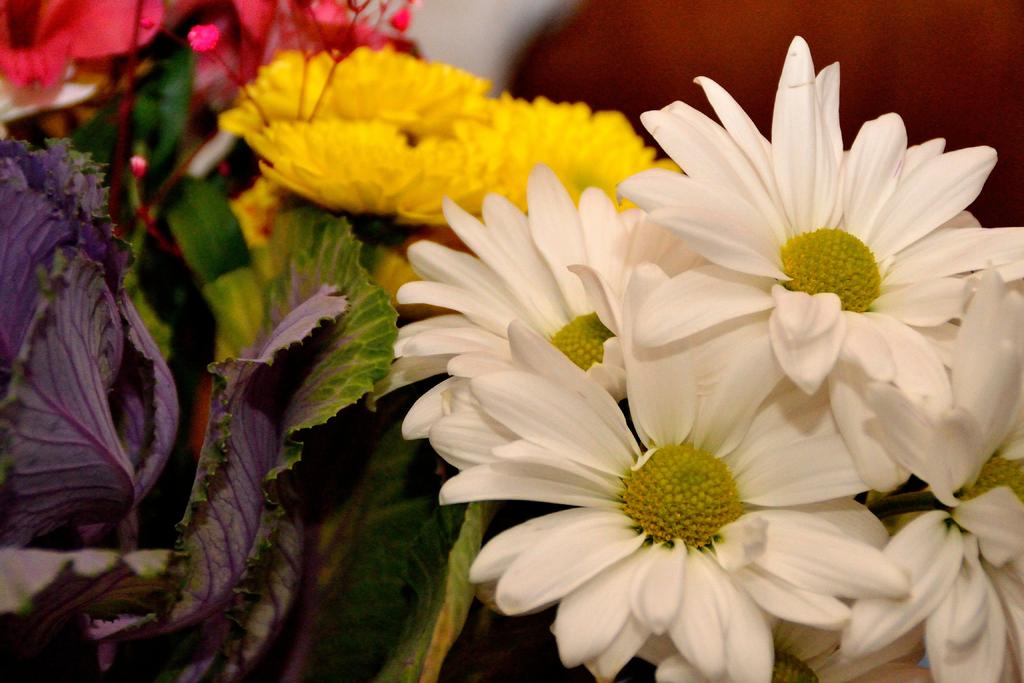 DSC_2987.jpg