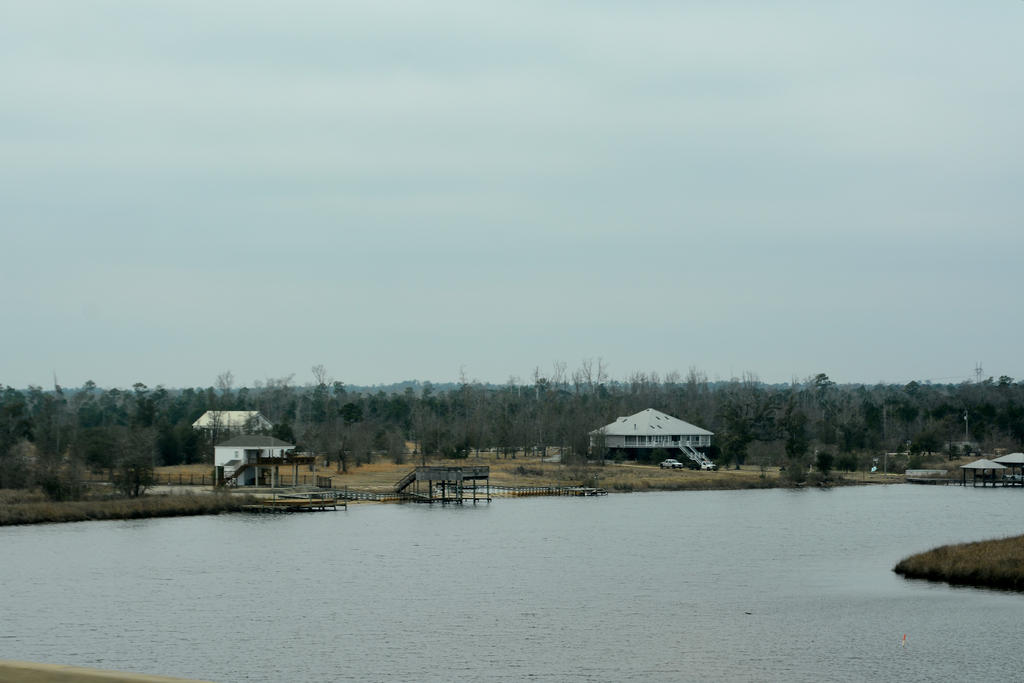 DSC_2990.jpg