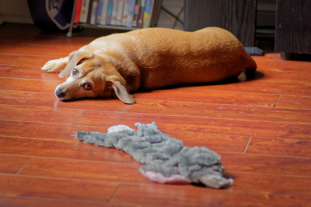DSC_2992_DxO.jpg