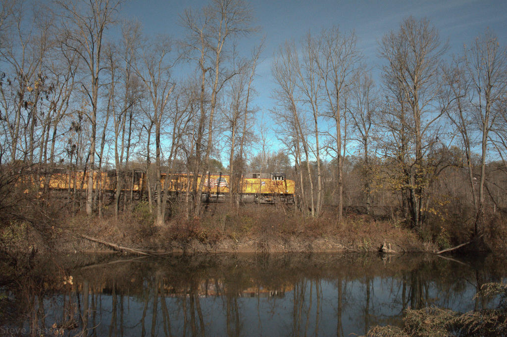 DSC_2994.jpg
