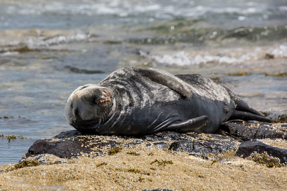 DSC_2995.jpg