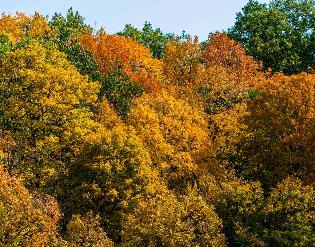 DSC_2997.jpg