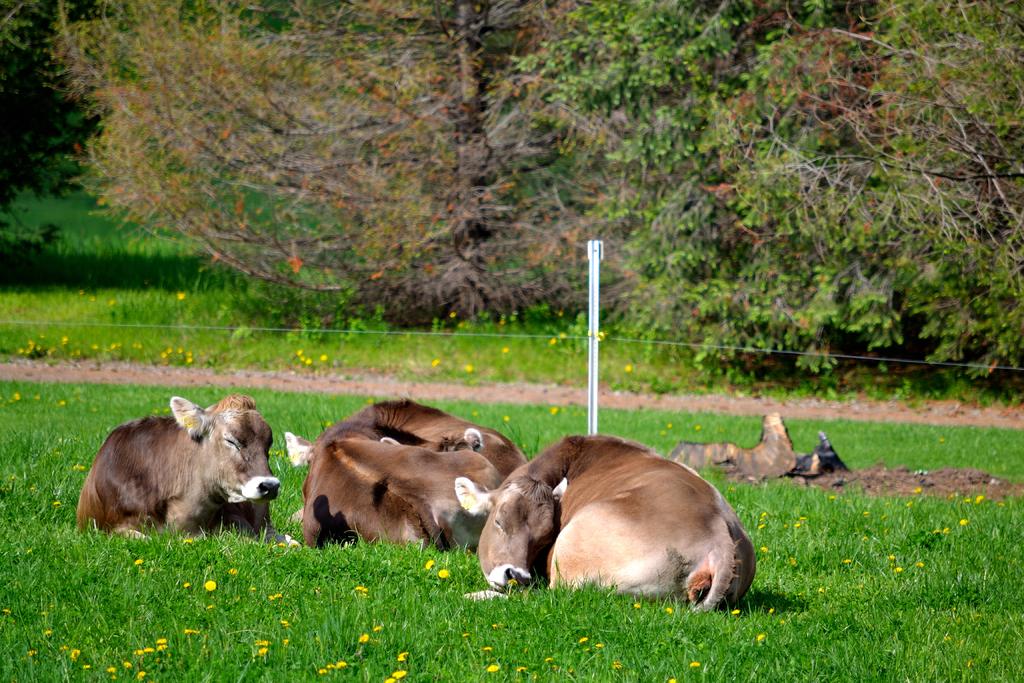 DSC_3005.jpg