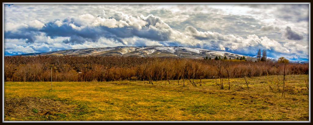 DSC_3007-Pano-Edit.jpg