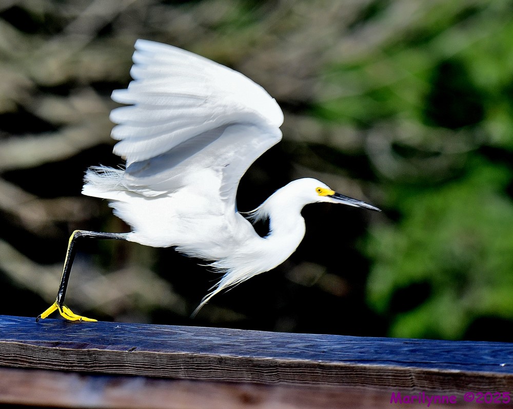 DSC_3008_001.JPG