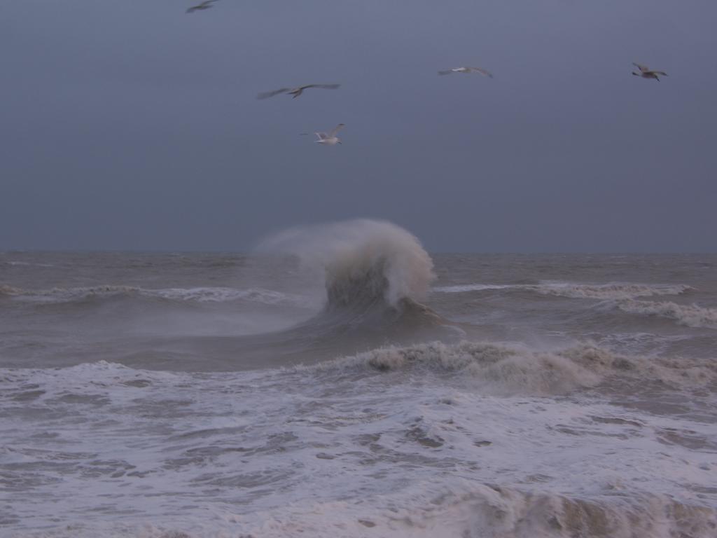 DSC_3012.jpg