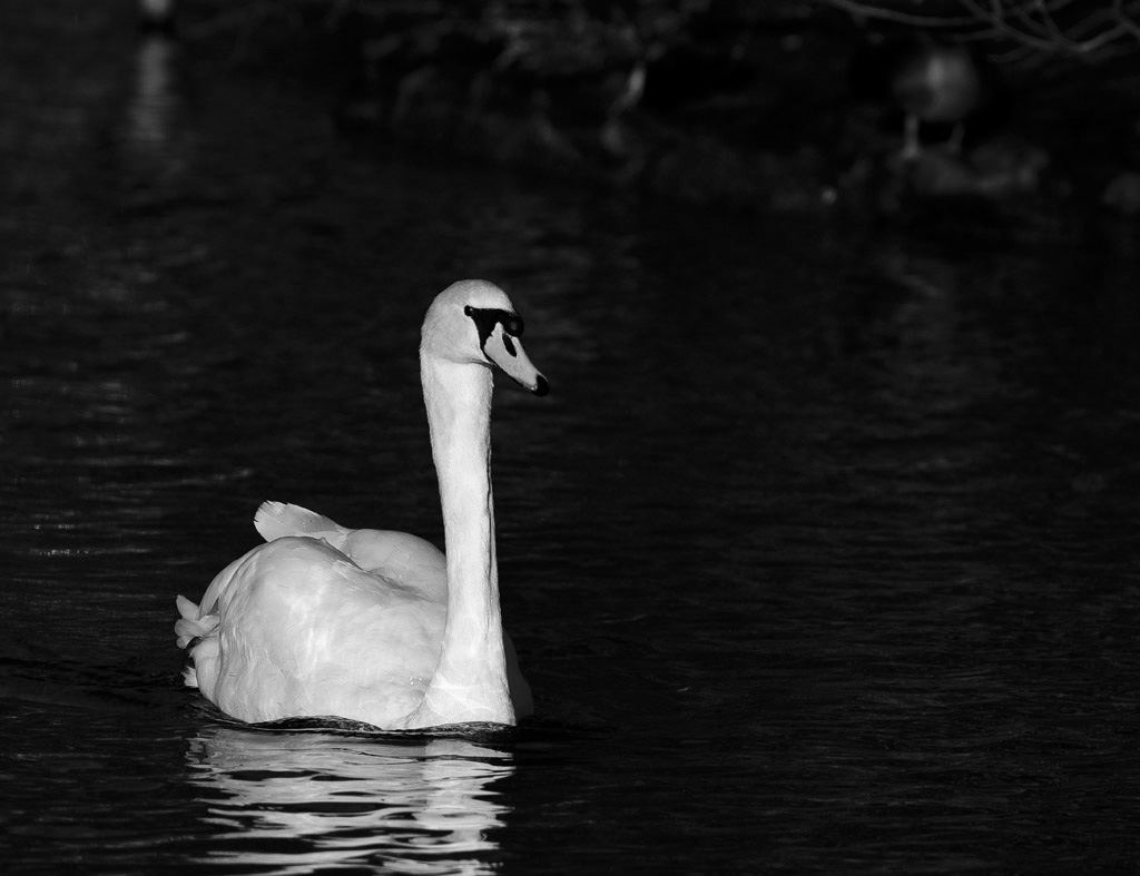DSC_3013.jpg