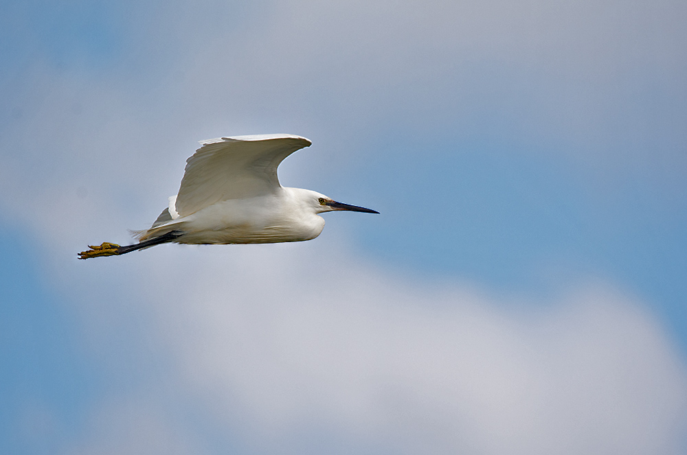 DSC_3014.jpg
