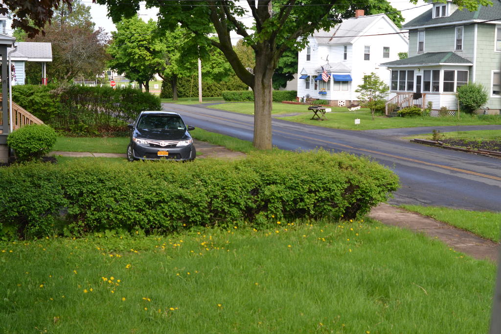 DSC_3021.jpg