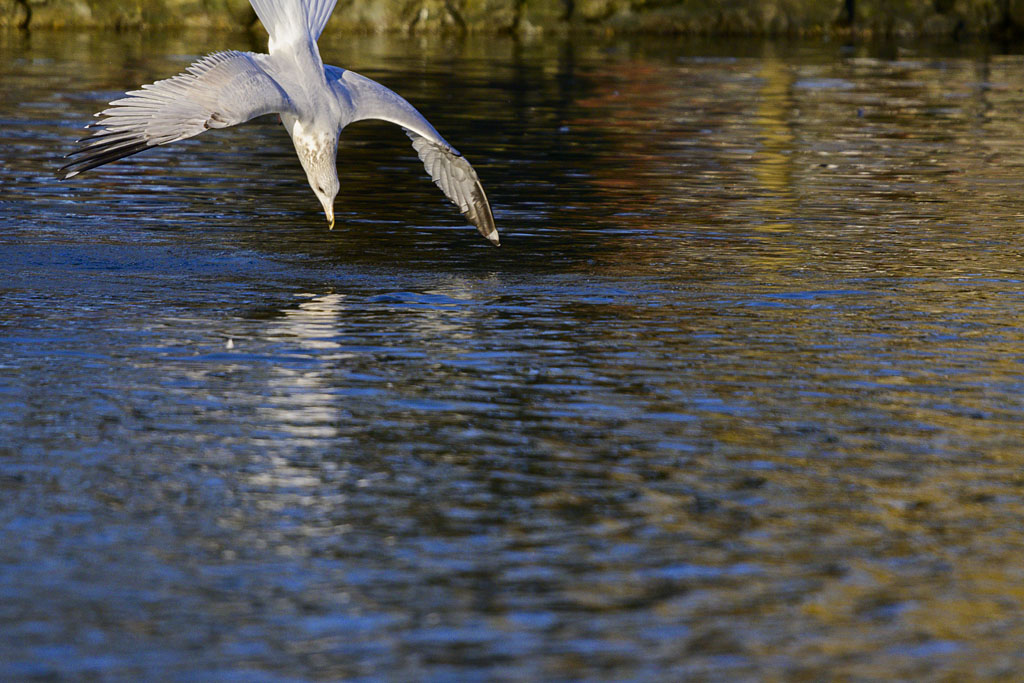 DSC_3022.jpg