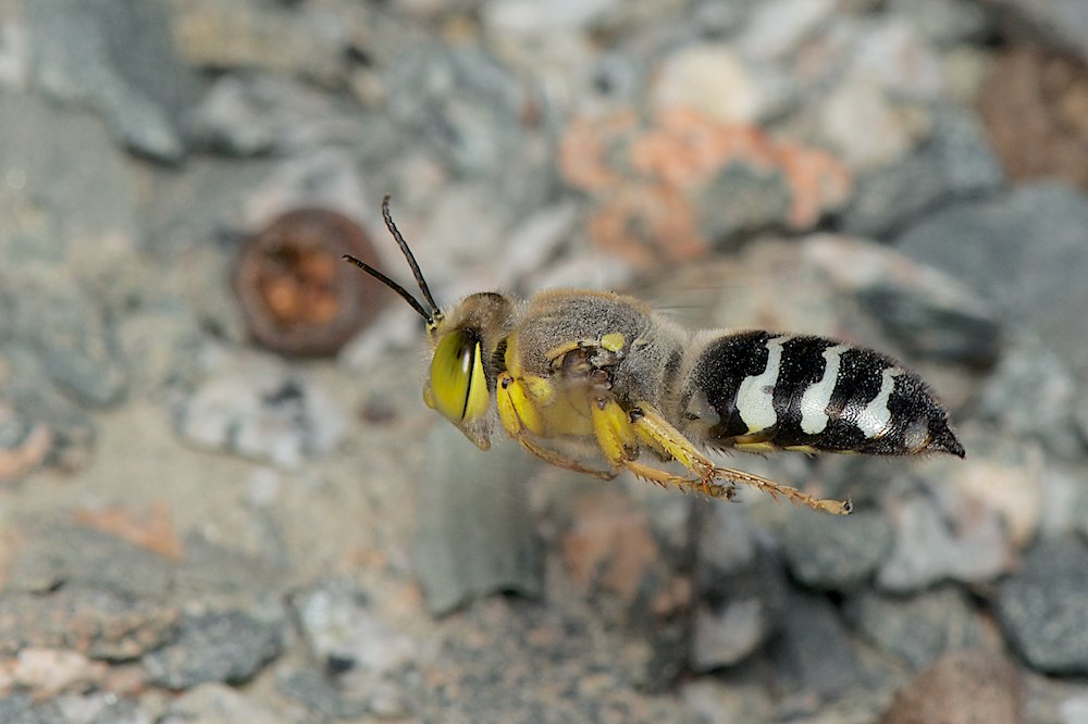 DSC_3023.jpg