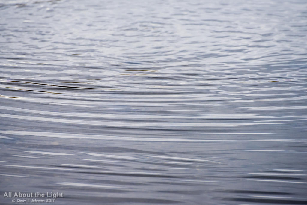 DSC_3023 lo res.jpg