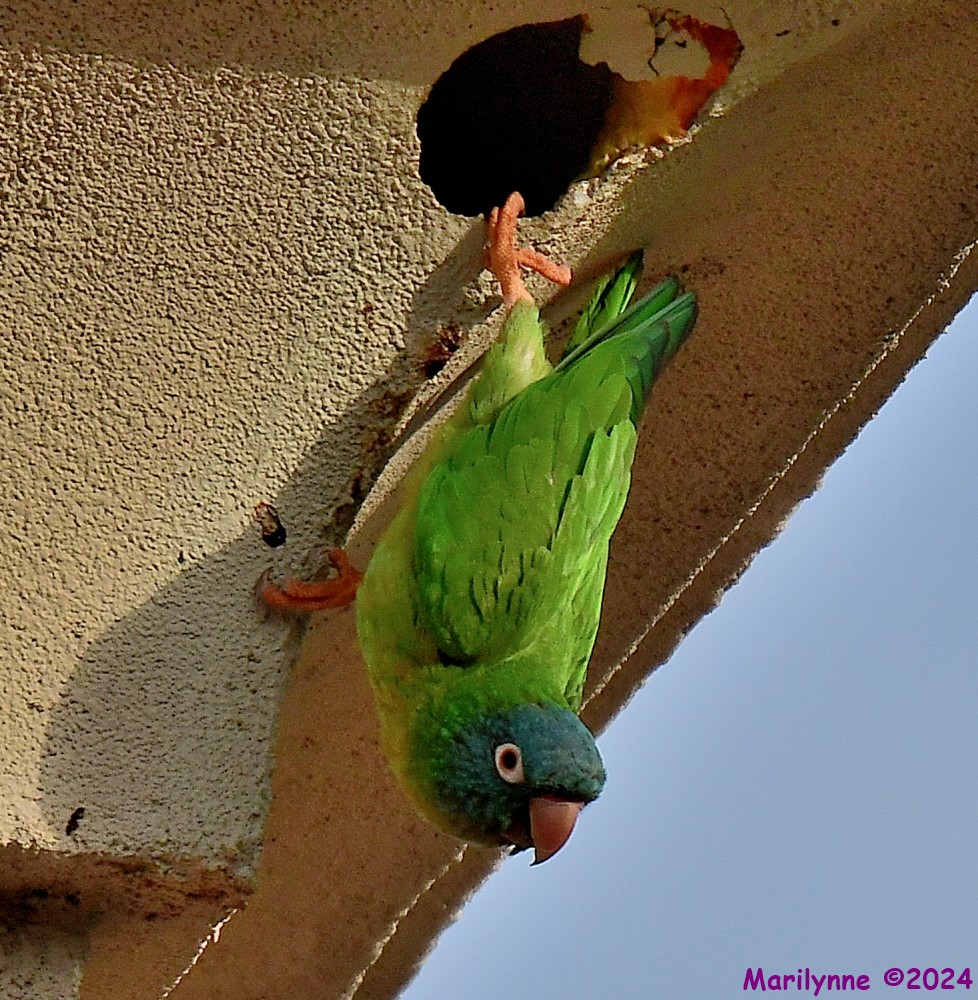 DSC_3025_001.JPG