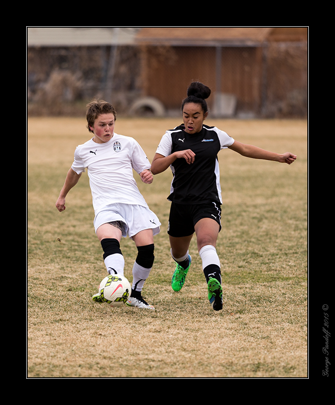 DSC_3027-Web.jpg