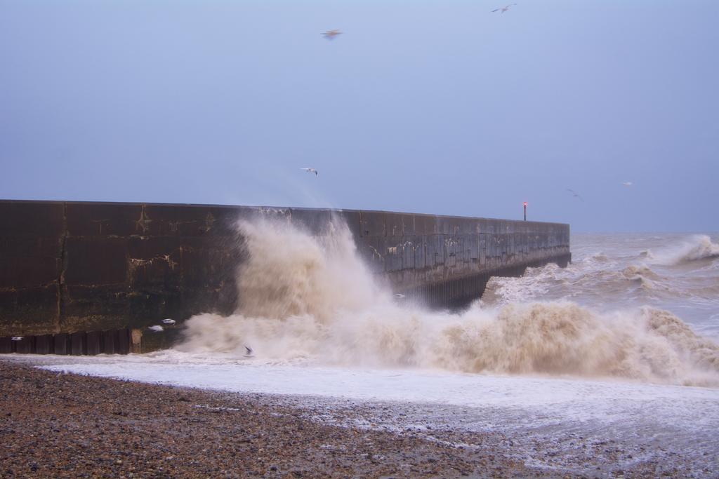 DSC_3028.jpg