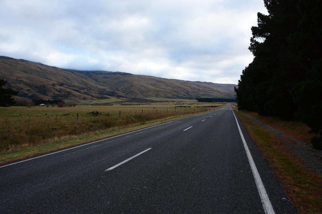 DSC_3028.jpg