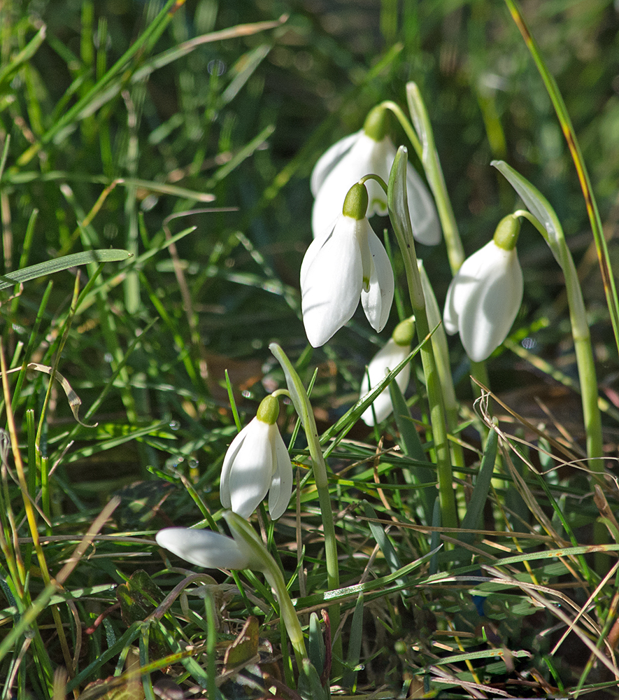 DSC_3029.jpg