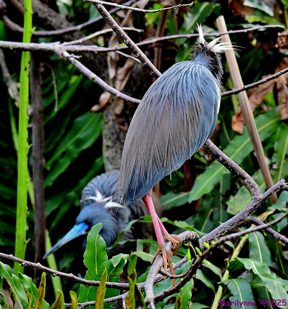 DSC_3030_001.JPG