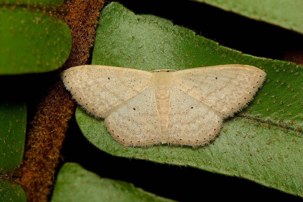 DSC_3031.jpg