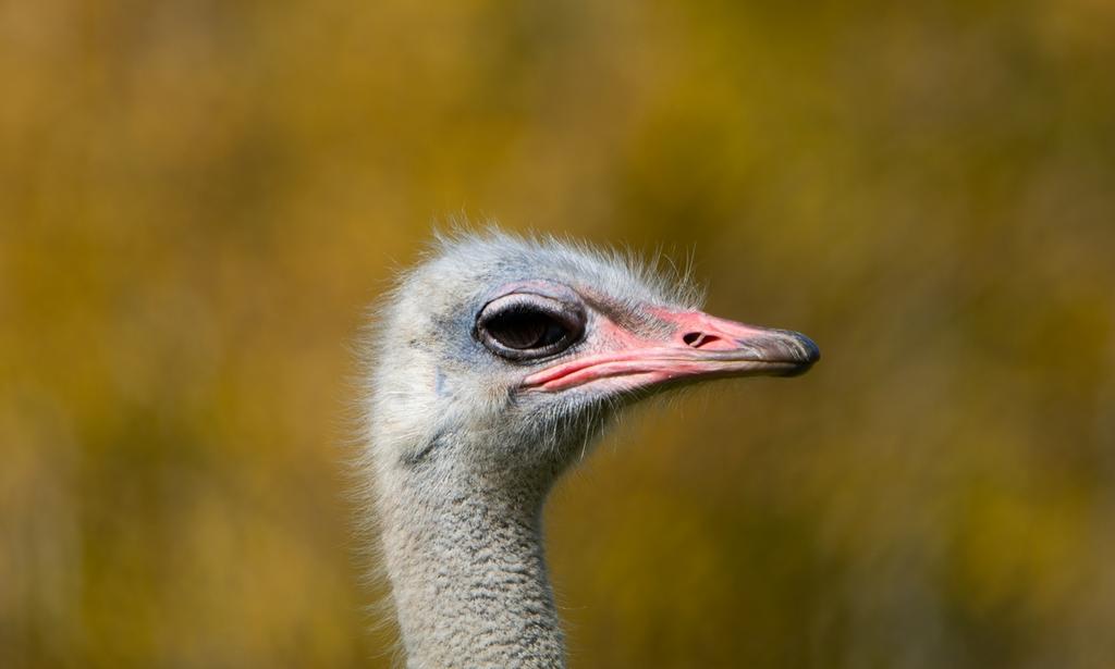 DSC_3032.jpg