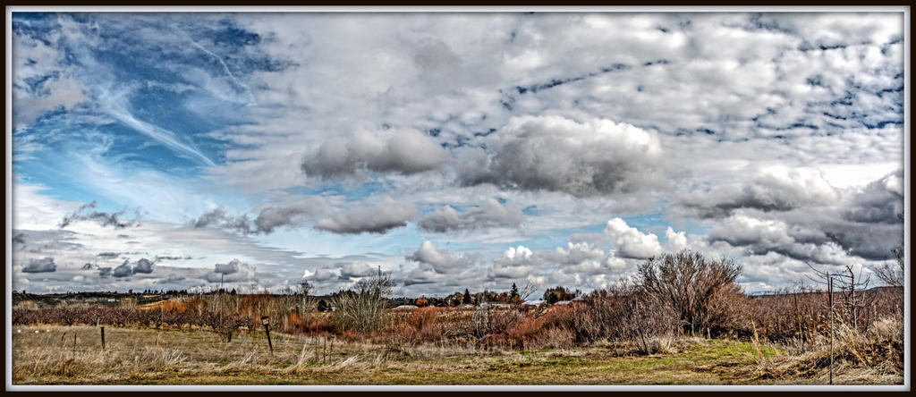 DSC_3032-Pano-Edit.jpg