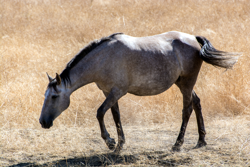 DSC_3034.jpg
