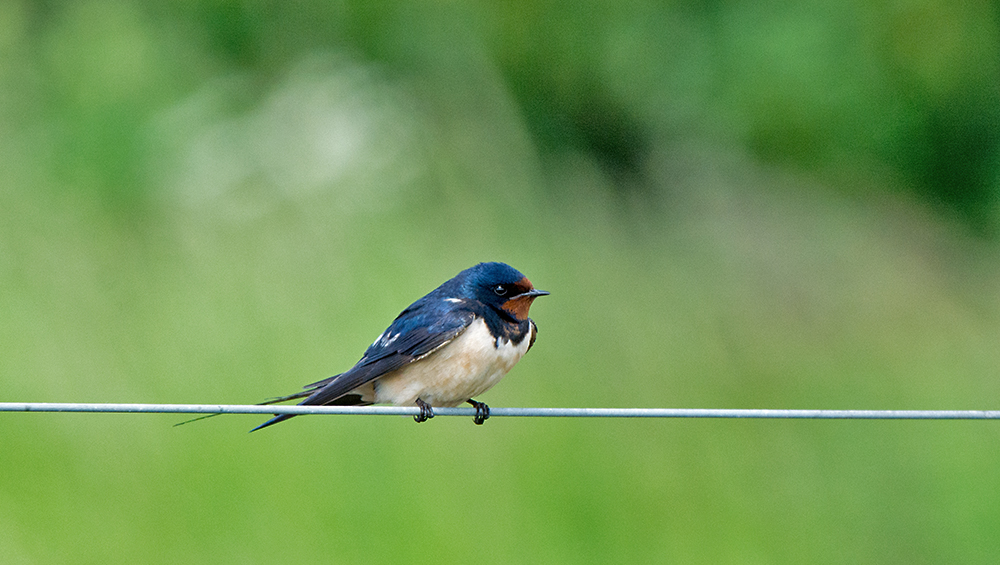 DSC_3035.jpg