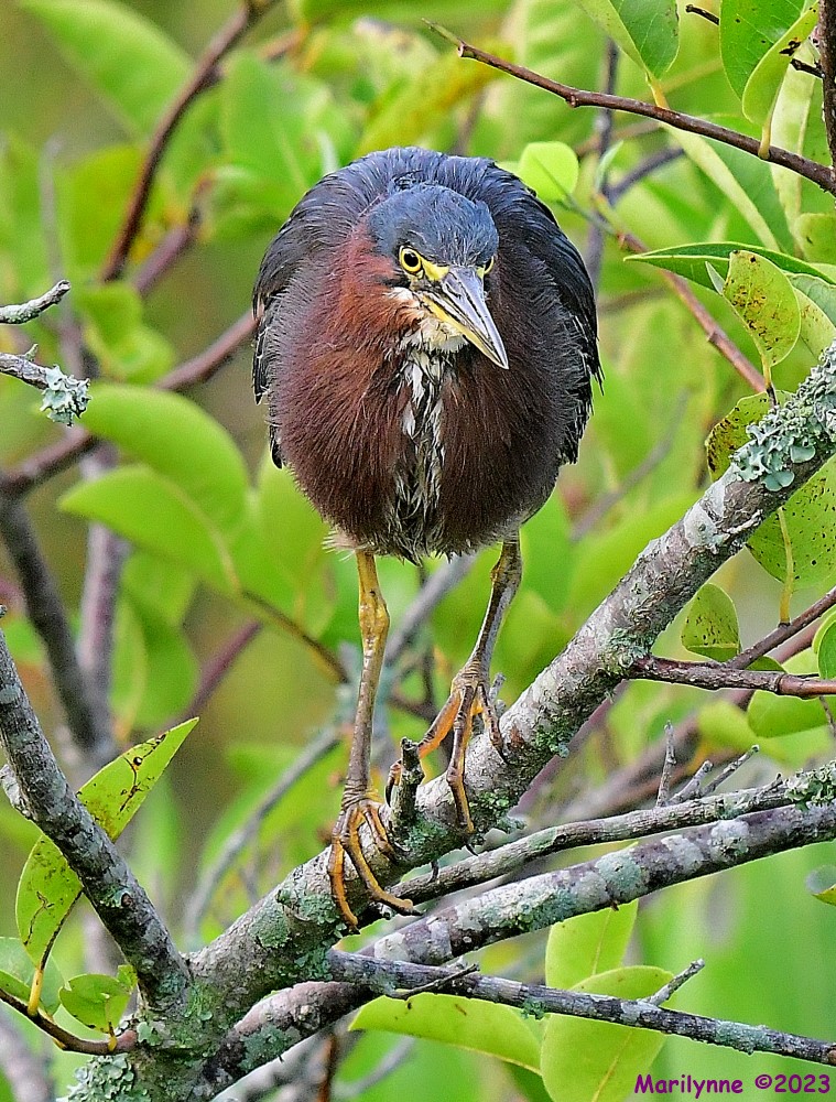 DSC_3035_001.JPG