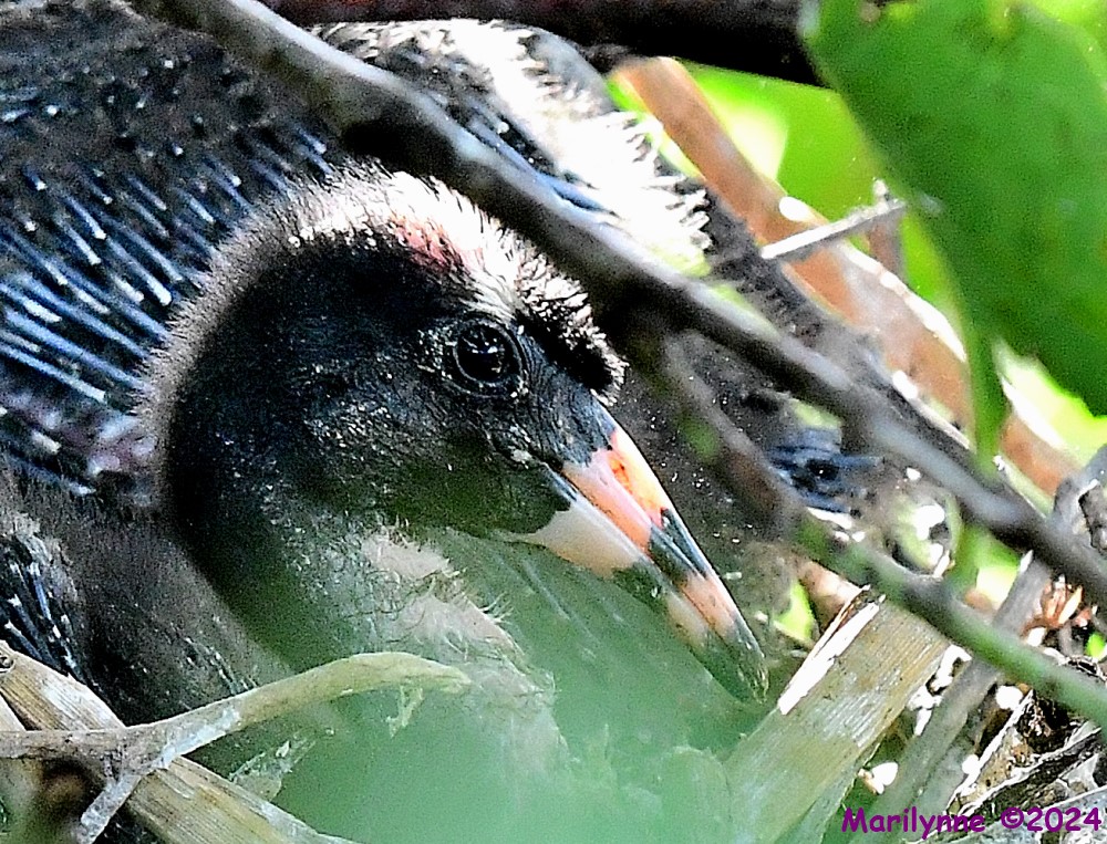DSC_3037_001.JPG