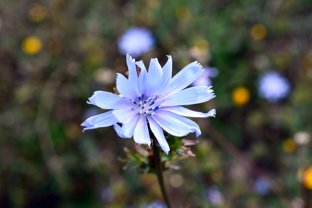 DSC_3039.jpg