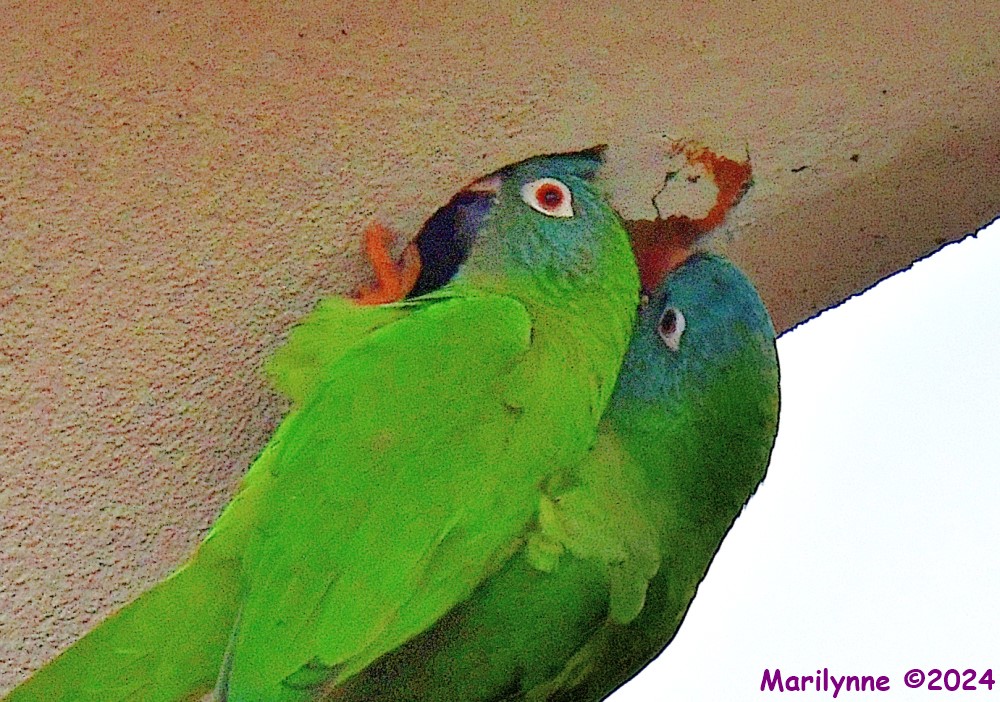 DSC_3041_001.JPG