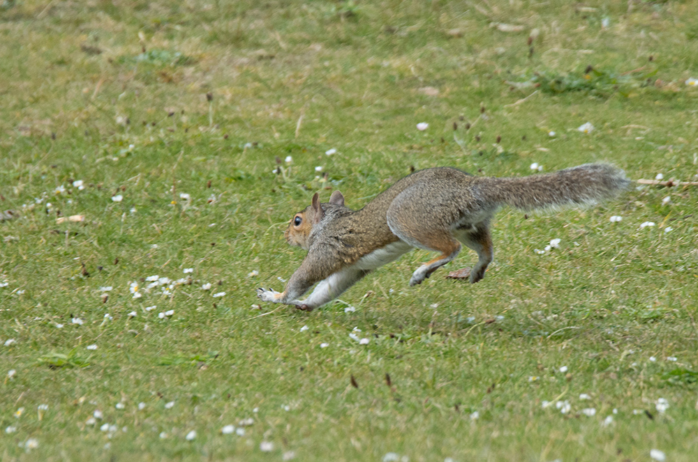 DSC_3043.jpg