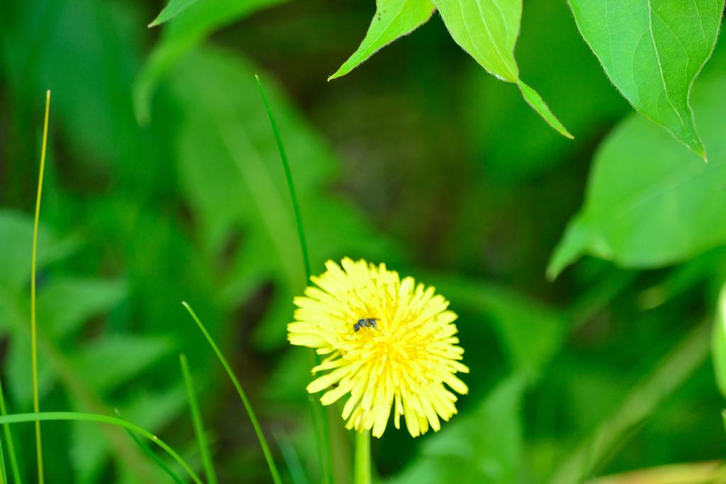 DSC_3047.jpg