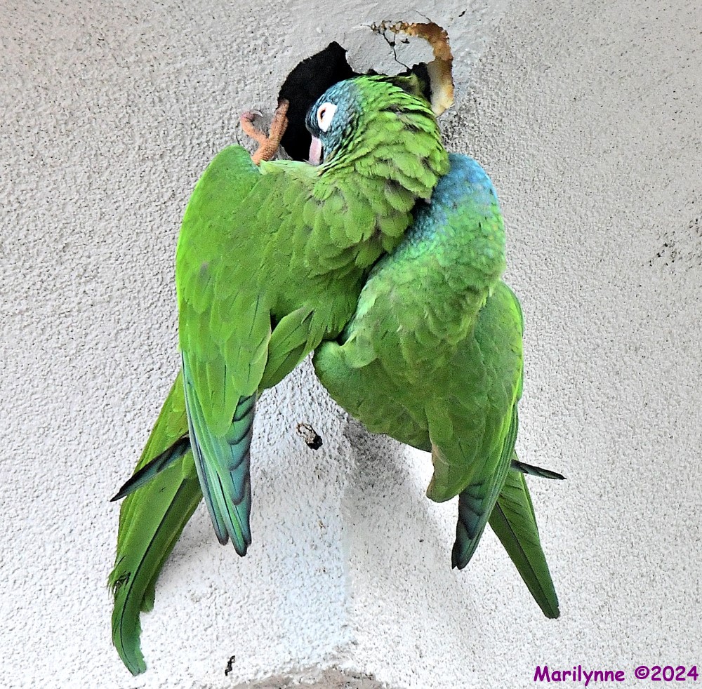DSC_3047_001.JPG