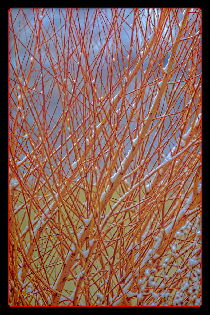 DSC_3049-HDR-Edit.jpg