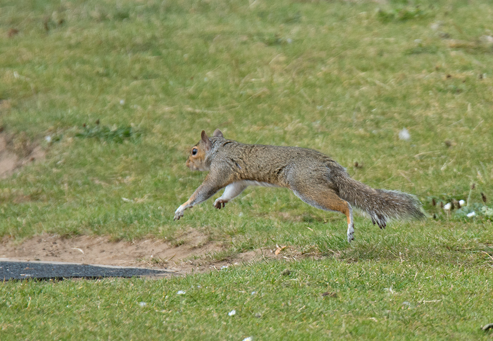 DSC_3050.jpg